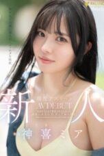 Innocence Active Athlete (2025) Innocence Active Athlete (2025)